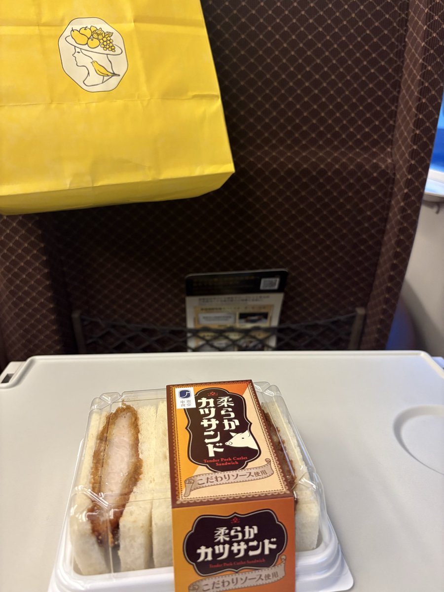 mito_shigure's tweet photo. TGSから帰宅！

無事著名な活動者様やお世話になってる企業様とご挨拶できて、充実の遠征でした⊂( ᴖ ̫ᴖ)⊃
色んなお話できてとても良かった…！
名刺も3.40枚くらい持参したはずなんだけど、全部無くなってた😎

帰りはグリーン車以外全部埋まってて、泣きながらグリーン初乗車🥹席が広い🥹 https://t.co/F7kiQqLkyy