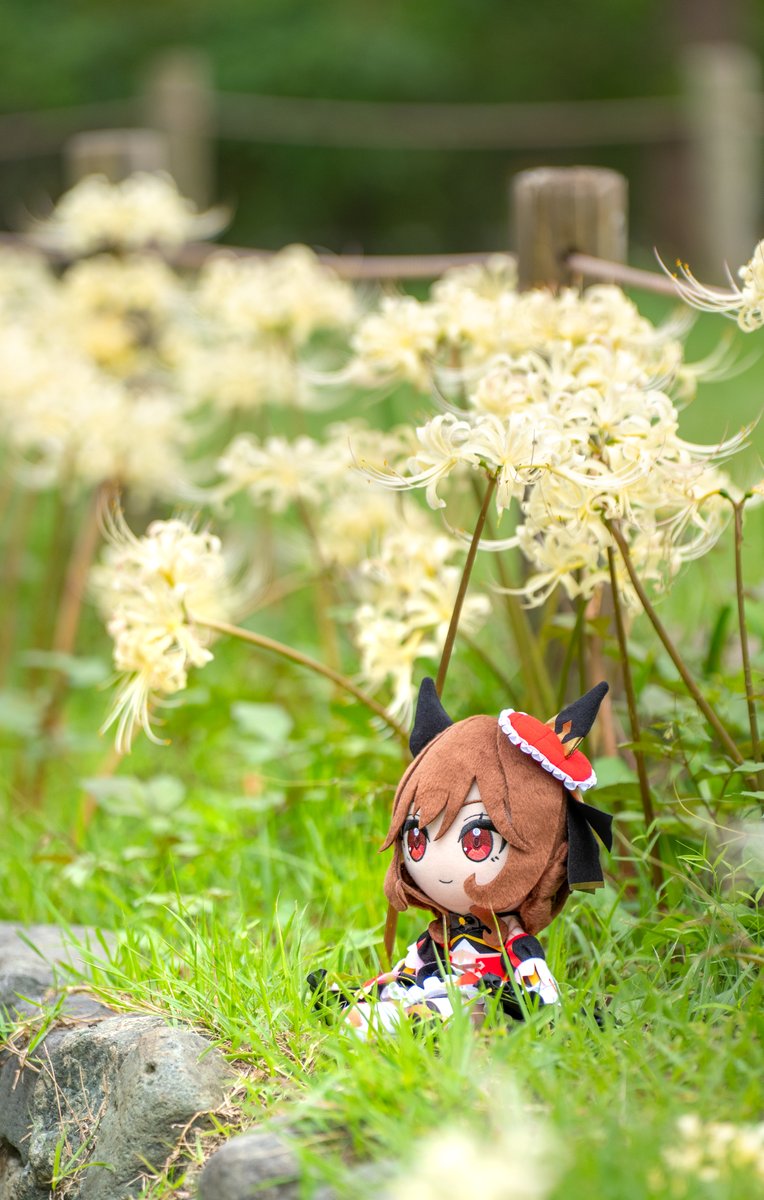 mild0520's tweet photo. ジェンティルドンナのぬいぐるみって彼岸花とめちゃくちゃ相性いいよね✨
#ウマ娘ぬい活
#彼岸花
#府中市郷土の森博物館 https://t.co/l0tHbkerlu