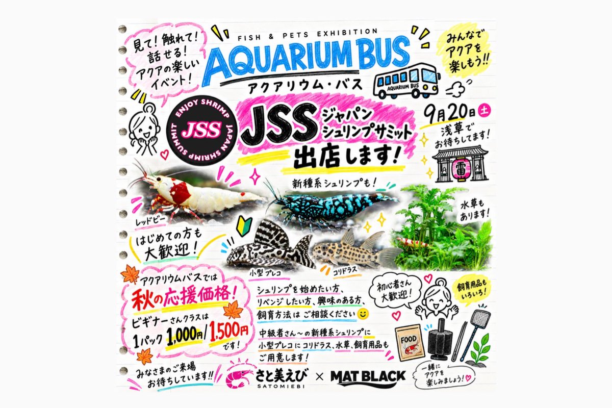 abi4747's tweet photo. アクアリウムバスにはダイヤモンドの若えびタンクのどこかから大きめの個体を掬って
連れて行きます♪
各水槽結構なお宝がいるのでワクワクです😊
＃アクバス＃さと美えび https://t.co/zVqN0z7L1d