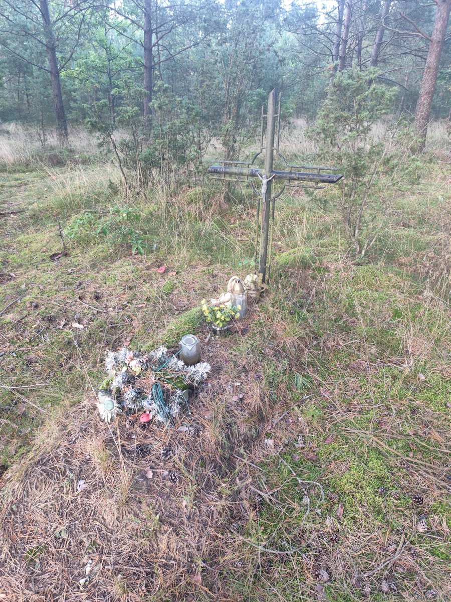 bolsonrac's tweet photo. Kaszuby centralne.

Kilka lat temu w trakcie grzybobrania zupełnym przypadkiem natknąłem się na bezimienny grób w środku lasu. Zdala od wszelkich zabudowań. W odległości ok 50-100m szła kiedyś linia kolejowa. Co roku odwiedzam to miejsce, żeby westchnąć i podumać nad losem tego grobu. Podejrzewam, że to ofiarą września 39' bądź sowieckiej ofensywy z 45' luty-kwiecień. Może to żołnierz? Polski, niemiecki, sowiecki. Może ofiara cywilna? W pewnej odległości znajdują się ruiny gospodarstwa, w którym Niemcy wymordowali całą rodzinę. Ogólnie w całej okolicy jest sporo grobów ofiar II WŚ, ale wszystkie opisane w internecie. O tym zupełna cisza. Pytałem ludzi w okolicy - nie kojarzą sprawy, ale ktoś tu kiedyś musiał przyjść zostawić znicz i sztuczny wieniec.