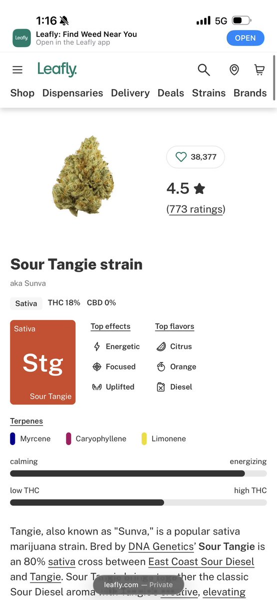 HighkushStrain's tweet photo. California orange strain 12k per gram.                sour tangie strain 10k per gram 

Place order via WhatsApp. https://t.co/ufyeAGsVsG https://t.co/3JscviyQt1