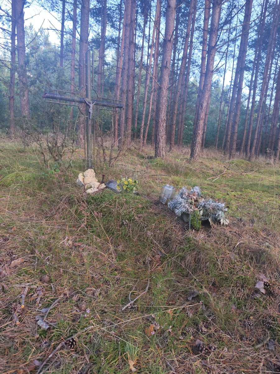 bolsonrac's tweet photo. Kaszuby centralne.

Kilka lat temu w trakcie grzybobrania zupełnym przypadkiem natknąłem się na bezimienny grób w środku lasu. Zdala od wszelkich zabudowań. W odległości ok 50-100m szła kiedyś linia kolejowa. Co roku odwiedzam to miejsce, żeby westchnąć i podumać nad losem tego grobu. Podejrzewam, że to ofiarą września 39' bądź sowieckiej ofensywy z 45' luty-kwiecień. Może to żołnierz? Polski, niemiecki, sowiecki. Może ofiara cywilna? W pewnej odległości znajdują się ruiny gospodarstwa, w którym Niemcy wymordowali całą rodzinę. Ogólnie w całej okolicy jest sporo grobów ofiar II WŚ, ale wszystkie opisane w internecie. O tym zupełna cisza. Pytałem ludzi w okolicy - nie kojarzą sprawy, ale ktoś tu kiedyś musiał przyjść zostawić znicz i sztuczny wieniec.