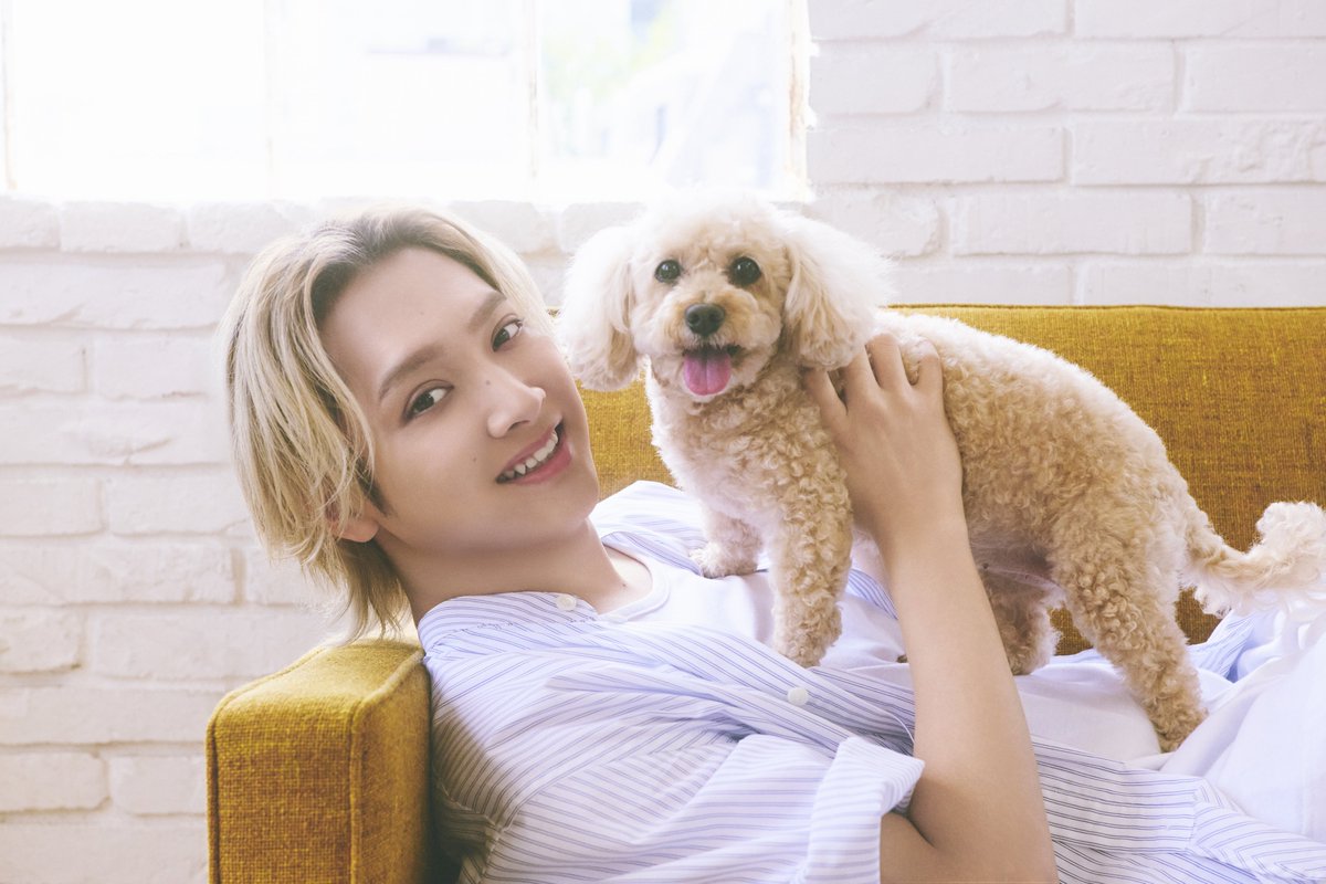 therampagefext's tweet photo. ＼📚好評発売中🐾／

「月刊わんこvol.34」
#鈴木昂秀 の撮影風景が公開🎥

ぜひチェックしてください🐶
https://t.co/sLhl6Bbn5Q

@gekkan_wanko
#THERAMPAGE @TAKAHIDE_rmpg_ https://t.co/HQI3y8Hs9q