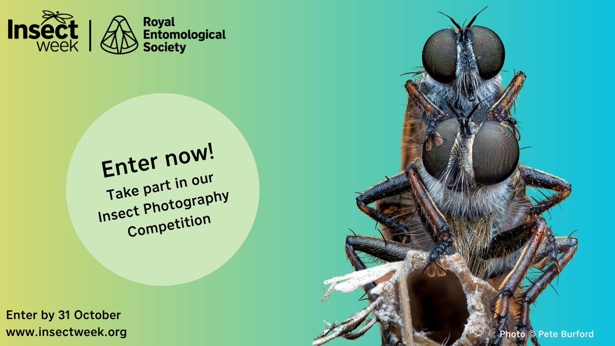 RoyEntSoc tweet picture