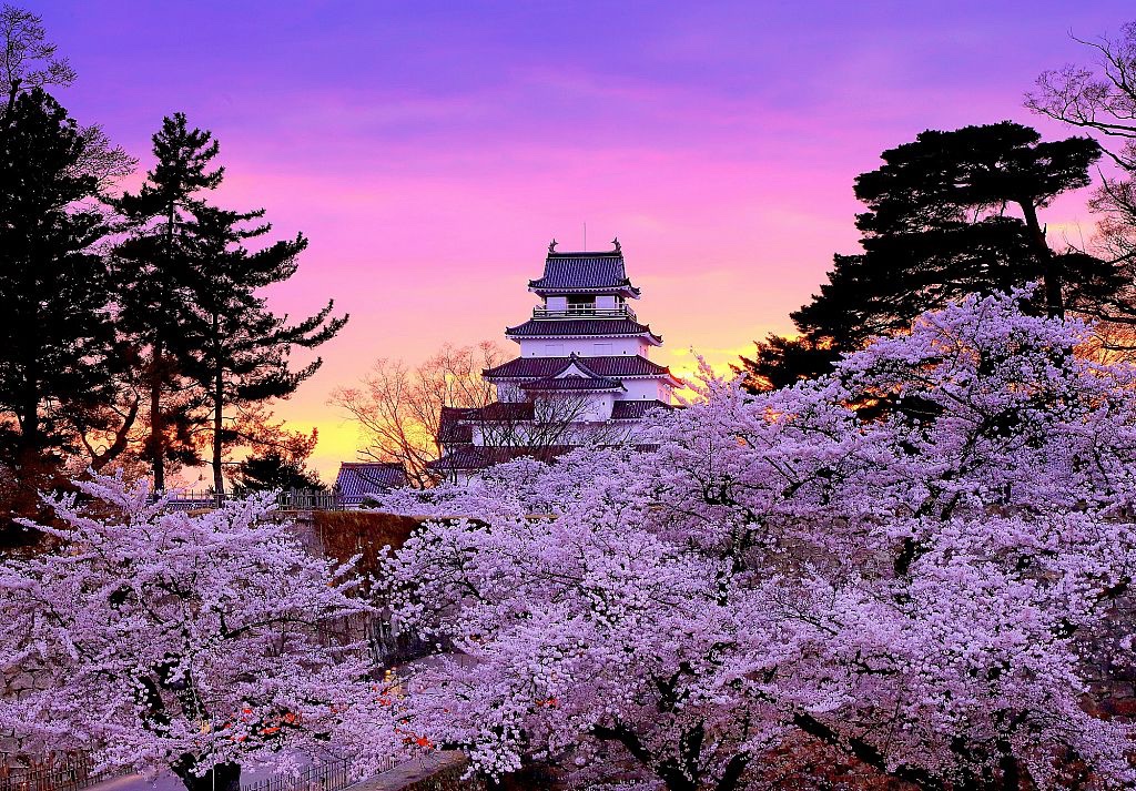aizu_story's tweet photo. 『会津まつり🏮🌸』

会津にとって単なるお祭りではないんです🏯🏮✨

その始まりには、戊辰戦争で散った先人への深い【慰霊と鎮魂】、そして感謝の祈りがありました🙏🌸

「逆賊」の汚名に苦しんだ時代を経て、勢津子様のご成婚に街中が歓喜の提灯行列で沸いた夜🏮✨

市民の悲願だった鶴ヶ城の再建を祝し、誇り高き「会津藩公行列」が誕生しました⚔️🐎

今も初日には先人慰霊祭が執り行われ、静かな祈りからこの3日間が幕を開けます🌿

華やかなパレードの根底に流れる、義を貫いた先人たちへの尽きない敬意と感謝の心✨

時を越えて受け継がれる会津の熱き誇りを、みんなで大切に見守り繋いでいきましょう🕊️💖