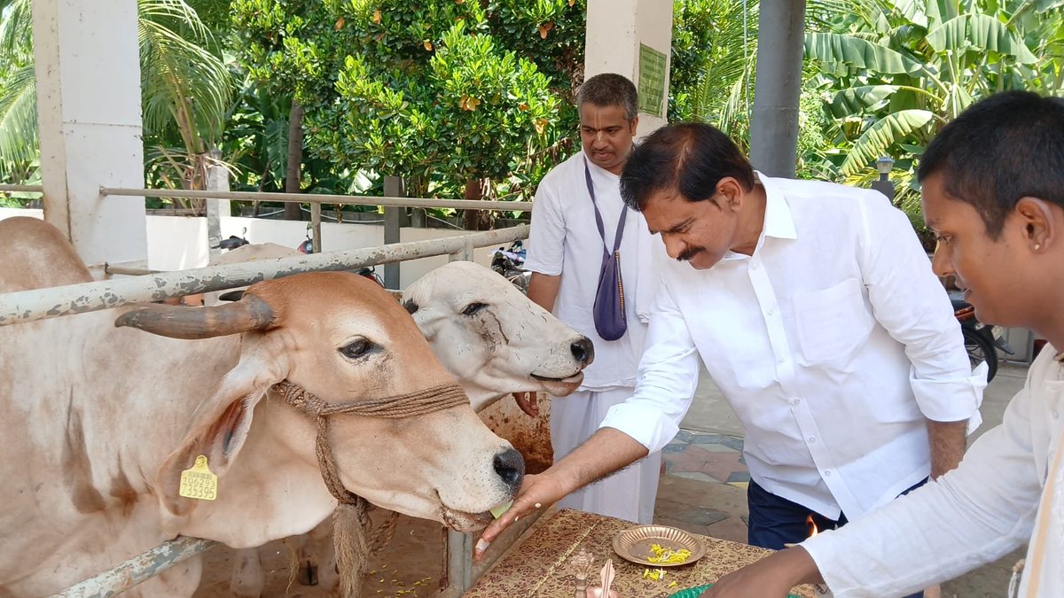 DevineniUma's tweet photo. ఉండవల్లి కరకట్ట రోడ్డులోని ఇస్కాన్ మందిరాన్ని సందర్శించి శ్రీ శ్రీ రాధా శ్యామ్ సుందర్ స్వామివారిని దర్శించుకుని ప్రత్యేక పూజలు నిర్వహించిన అనంతరం గోపూజ చేసి, గోవులకు గ్రాసం తినిపించడం జరిగింది. తదుపరి ఇస్కాన్ మందిర అధ్యక్షులు శ్రీమాన్ చక్రధారి దాస్ ప్రభుజీ గారిని కలిసి ఆశీర్వాదం తీసుకుని ఆలయంలో భగవత్ ప్రసాదాన్ని స్వీకరించడం జరిగింది.