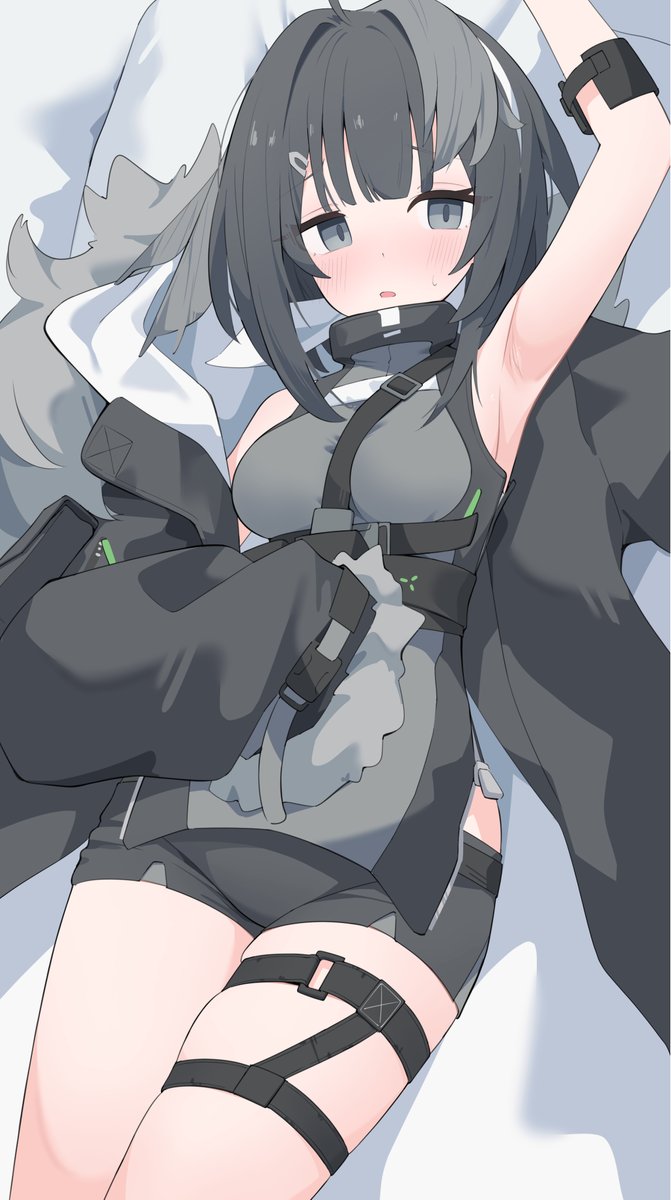 yu_kurinn's tweet photo. ラ・プルマ.... https://t.co/nymTQg84py
