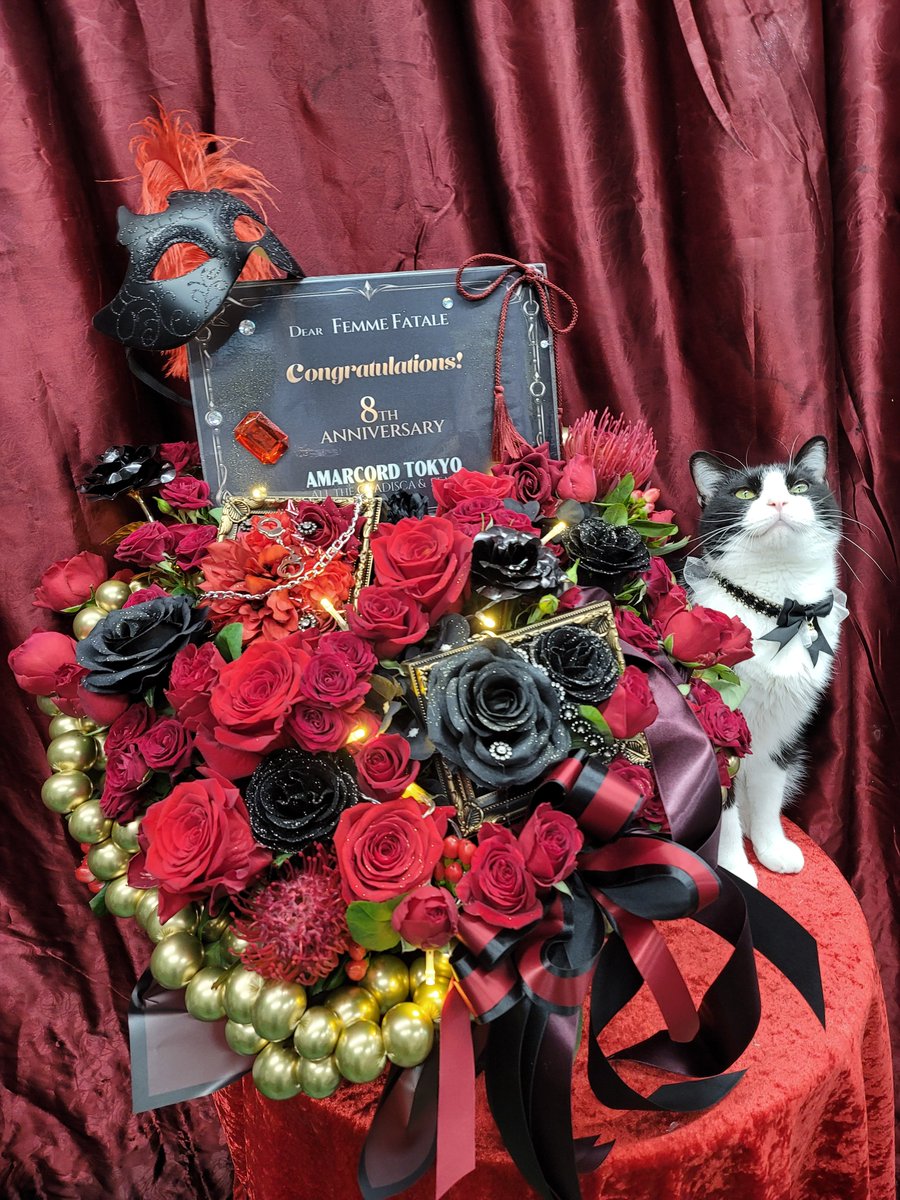 8787neko's tweet photo. Femme Fatal 池袋さん8周年御祝ですにゃ♪😹おめでとうございにゃす!
#花 #周年祝い #アレンジ花 #御祝花 #花猫庵 #SMBAR https://t.co/HDb6u84H12