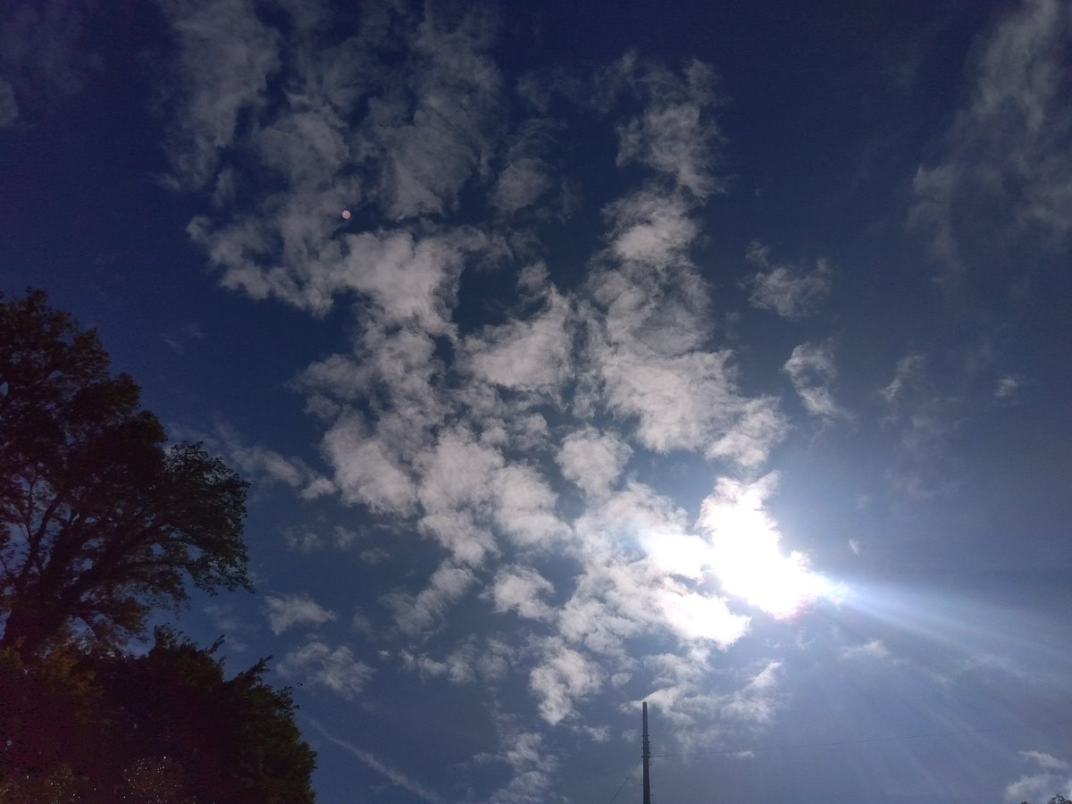 MakoVw3's tweet photo. 今日の花と空🌺🌤️
#花　#空　#千葉県千葉市 https://t.co/CwRlIDQXiW