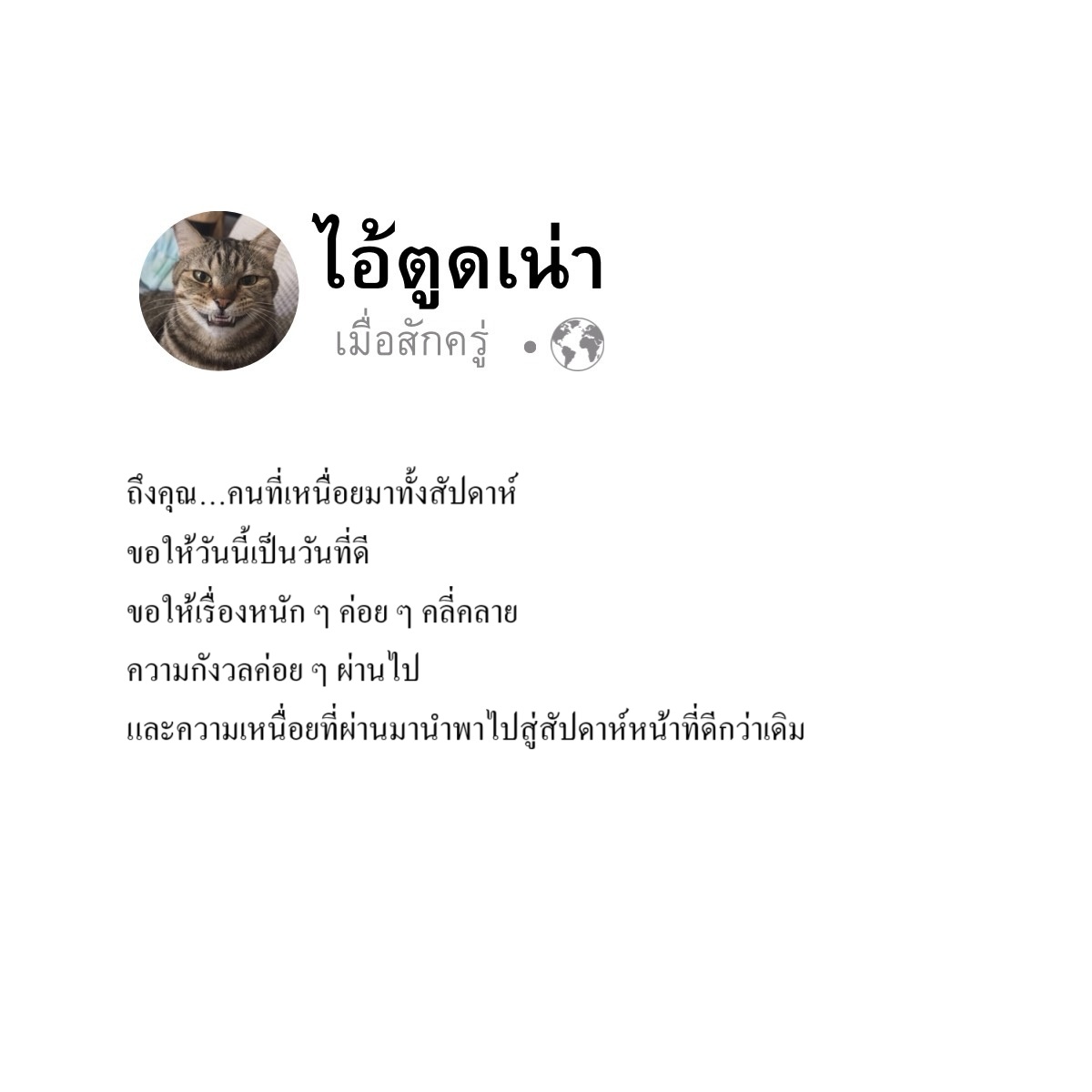 _baeriiiii's tweet photo. ถึงคุณ…คนที่เหนื่อยมาทั้งสัปดาห์
ขอให้วันนี้เป็นวันที่ดี
ขอให้เรื่องหนัก ๆ ค่อย ๆ คลี่คลาย
ความกังวลค่อย ๆ ผ่านไป
และความเหนื่อยที่ผ่านมานำพาไปสู่สัปดาห์หน้าที่ดีกว่าเดิม
#ขอให้วันนี้เป็นวันที่ดี #เหนื่อยมาทั้งสัปดาห์ #กำลังใจ #ชีวิตต้องไปต่อ #ขอให้เรื่องร้ายผ่านไป https://t.co/f08eaBKmlF