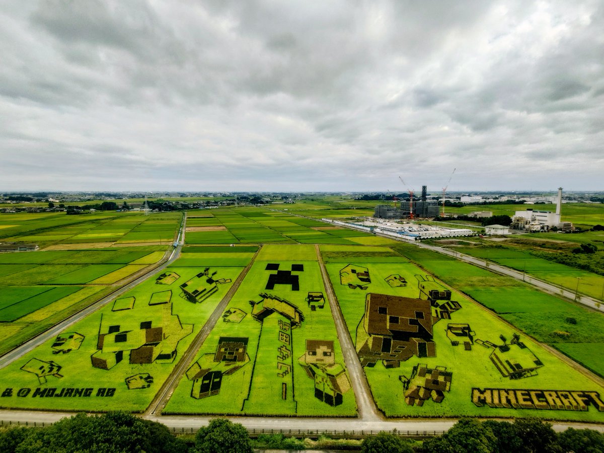 leontoissho's tweet photo. 今年の田んぼアートはMinecraft！

刈り取られちゃう前に行ってきました📷

ホント毎年クオリティの高さには目を見張るばかり

昨年は鬼滅の刃でとっても混んでたので結局行かなかった💦

AIのものは無いのになぜかAIコンテンツと出たw

 #SeAみてみて https://t.co/Py2IoX7ZbP