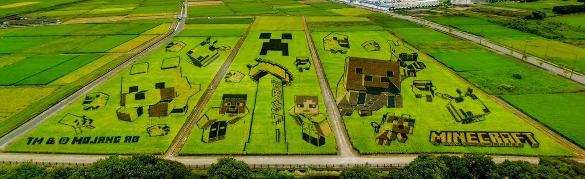 leontoissho's tweet photo. 今年の田んぼアートはMinecraft！

刈り取られちゃう前に行ってきました📷

ホント毎年クオリティの高さには目を見張るばかり

昨年は鬼滅の刃でとっても混んでたので結局行かなかった💦

AIのものは無いのになぜかAIコンテンツと出たw

 #SeAみてみて https://t.co/Py2IoX7ZbP