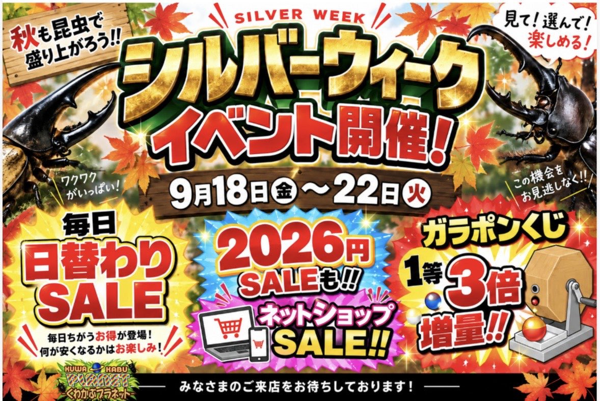 kuwakabuplanet's tweet photo. 18日金〜22日火までシルバーウィークSALEイベント開催‼️
ネットショップもスーパーSALE‼️
期間中ネットショップも要チェック‼️
ガラポン・2026円SALE・じゃんけん大会など楽しいイベント盛り沢山‼️
是非、遊びに来て下さいね♪
https://t.co/yTxYbk6F7z https://t.co/KBfqSSYNRv