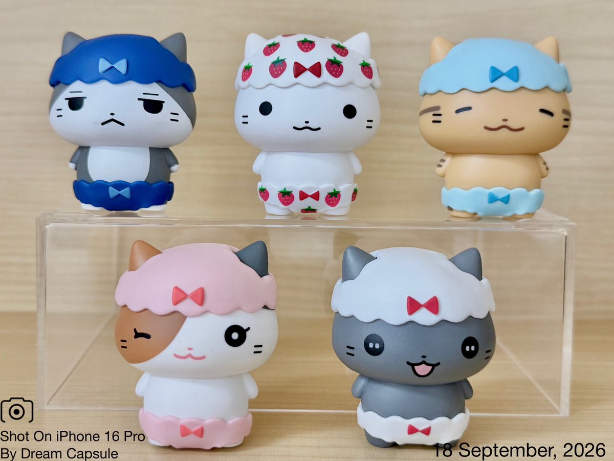dreamcapsuleCEO's tweet photo. 🌟新入荷ガチャ商品プレゼントCP🌟

レースとリボンがとってもキュート🎀
「ねこぱんつ」

フォロー&amp;RP(RT)していただいた方の中から抽選で2名様に全5種セットをプレゼント🎁

ドリカプへの入荷日とキャンペーン詳細は↓

#ドリームカプセル #ガチャ専門店 https://t.co/dHEsfFZWX6