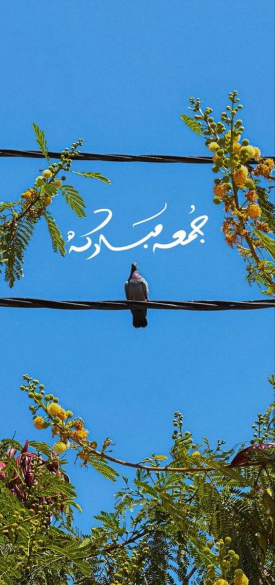 alsmt5000's tweet photo. اللهُـم أكرمنا بأيام تصفو بها نفوسنـا 
وتطمئن بها قلوبنـا وأرزقنا ما يكفينا ويغنينـا وعوضّنا العوض الجميل يـارب 

 #يوم_الجمعه https://t.co/TazxMIznsh