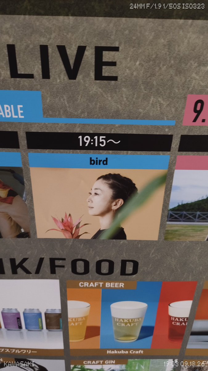 rahzel47's tweet photo. 30年ぶり？くらいのbirdさん https://t.co/EjqlEhkbbt
