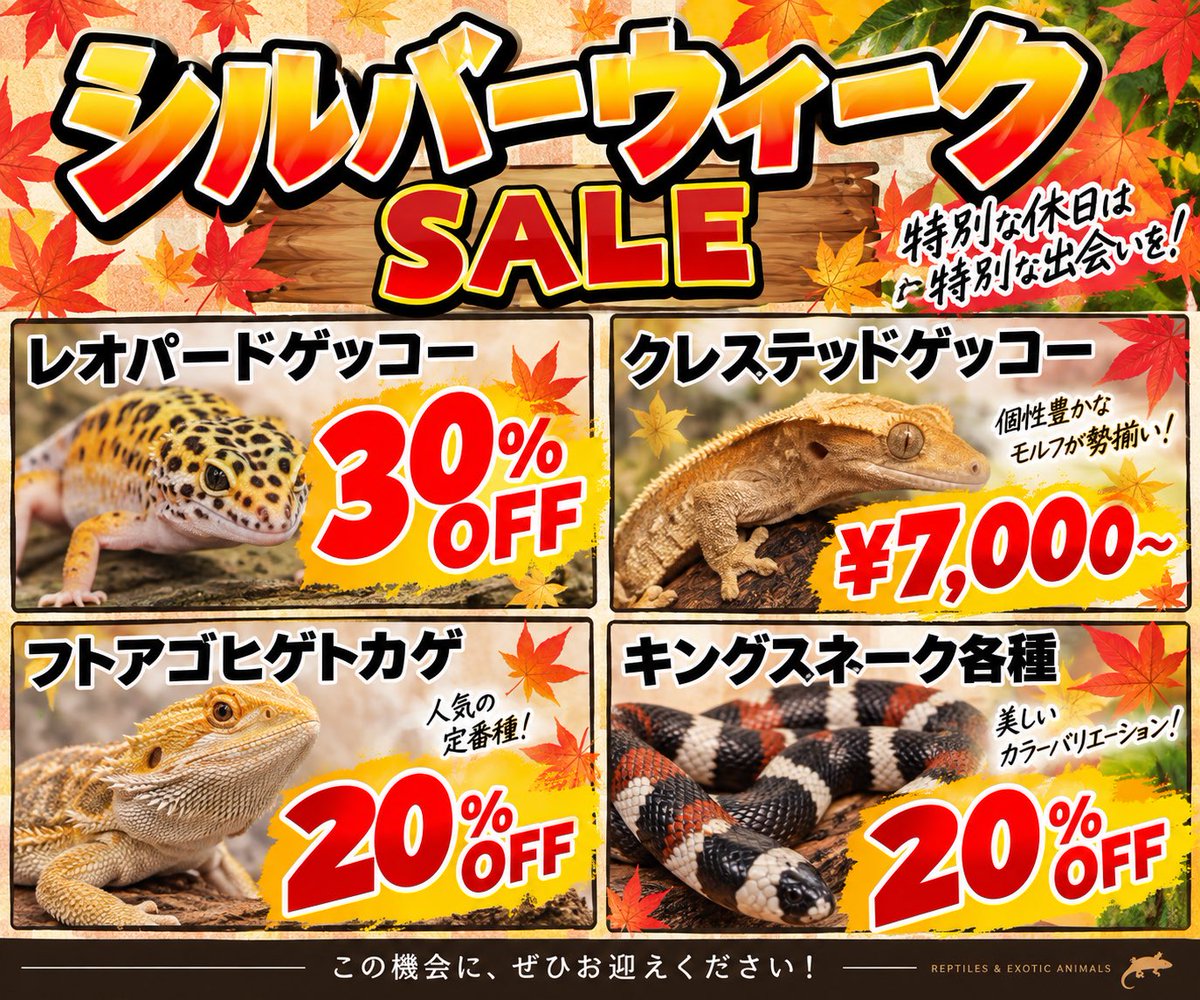 yoneyama_desuyo's tweet photo. 【お知らせ】

明日よりシルバーウィークSALE開催いたします🤩🤩
POP以外の在庫生体もお得にお迎え頂けます🉐

たくさんのご来店おまちしております！！ https://t.co/7Qe7fO6RrX