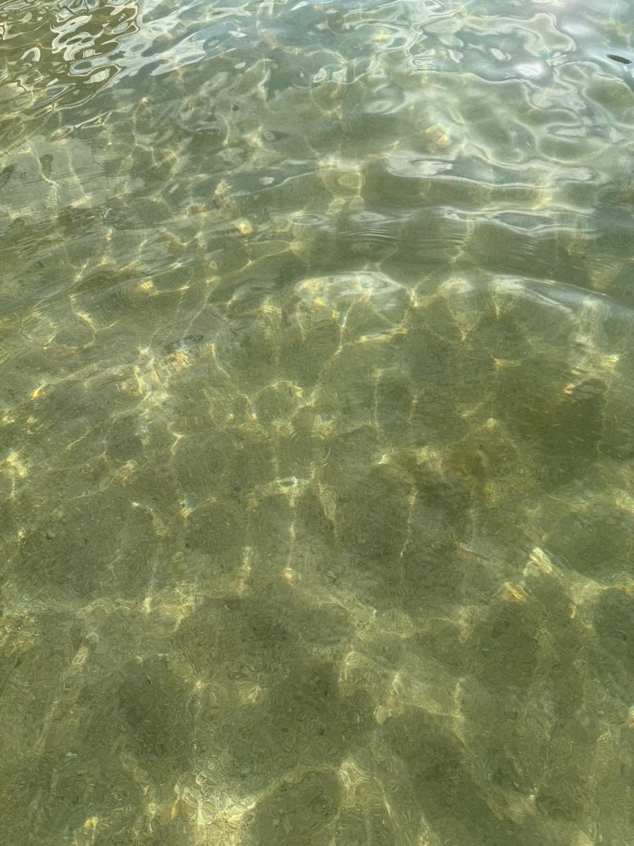 noanyanko17's tweet photo. 沖縄の海光ってた！
水着きたからまた載せるね‼️ https://t.co/qBsIo7Kjwb