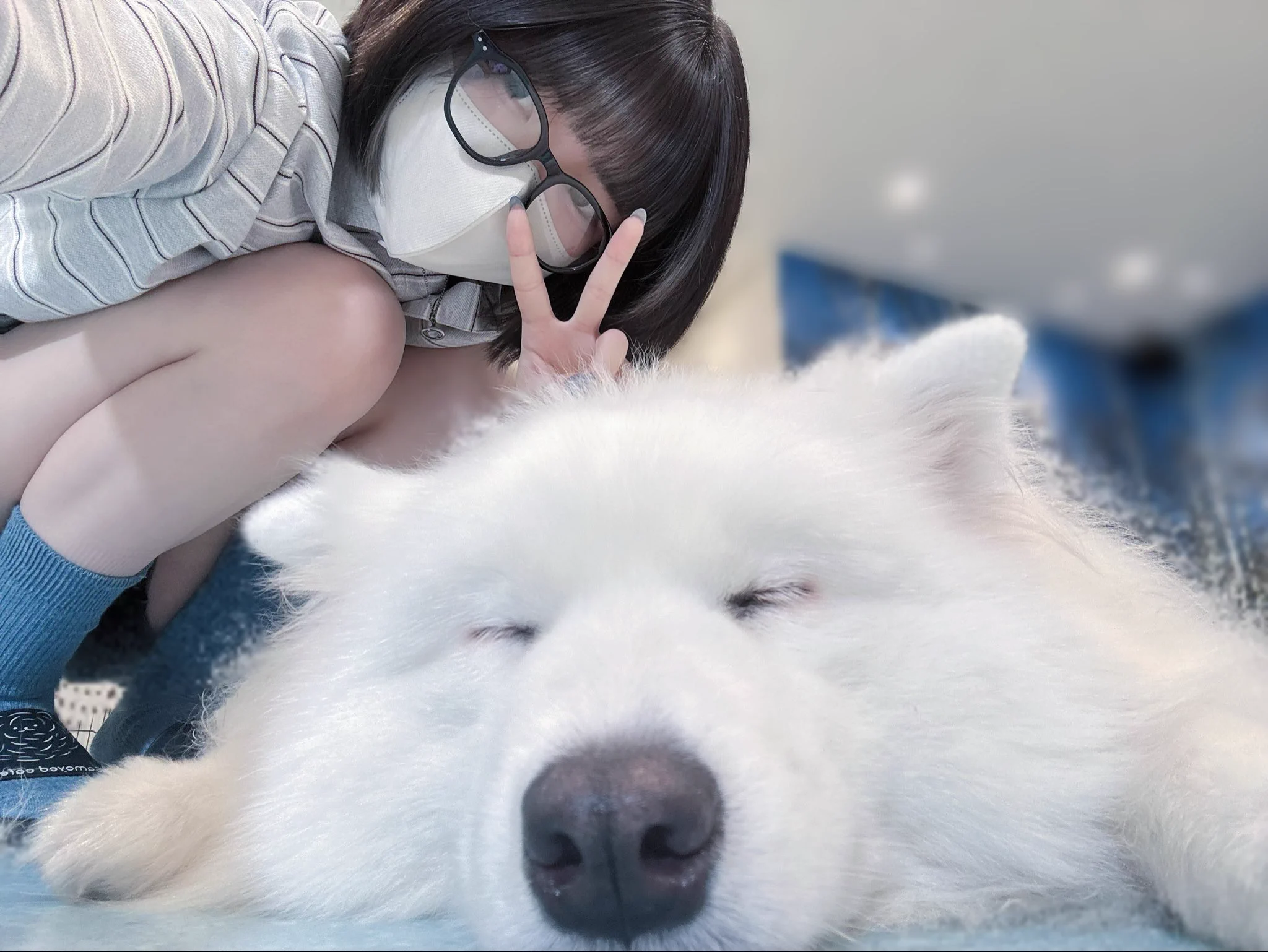 まさきち⭐︎プロフ必ず見てください☆専用 さめきち🎧🦈 on X: 