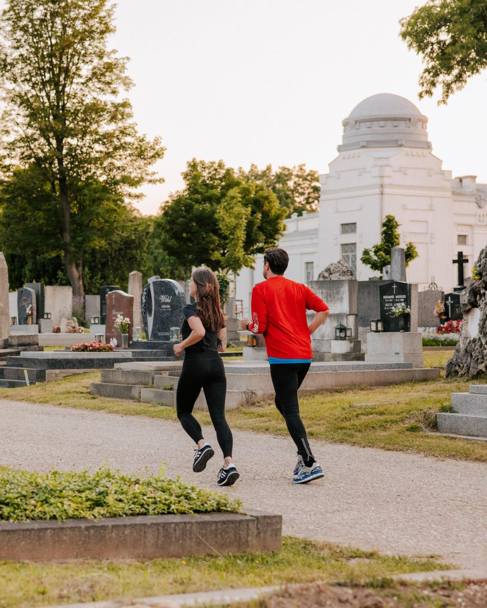 Running through Vienna © Vienna Tourist Board/Paul Bauer