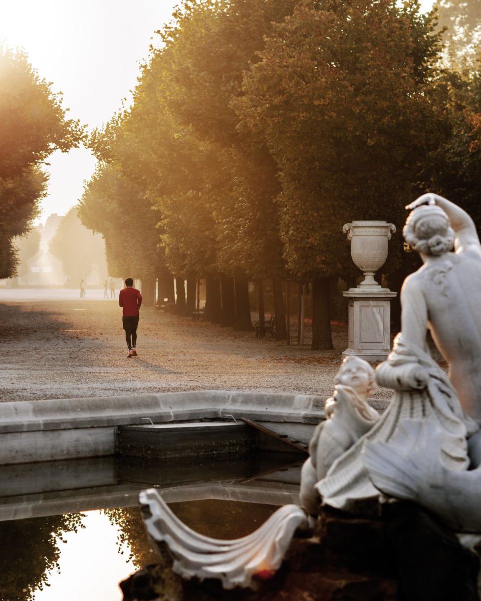 Running through Vienna © Vienna Tourist Board/Paul Bauer