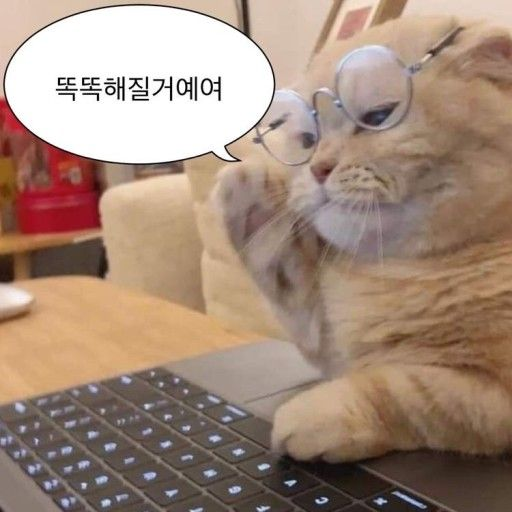 er_happy_'s tweet photo. https://t.co/GZVEeghnsV