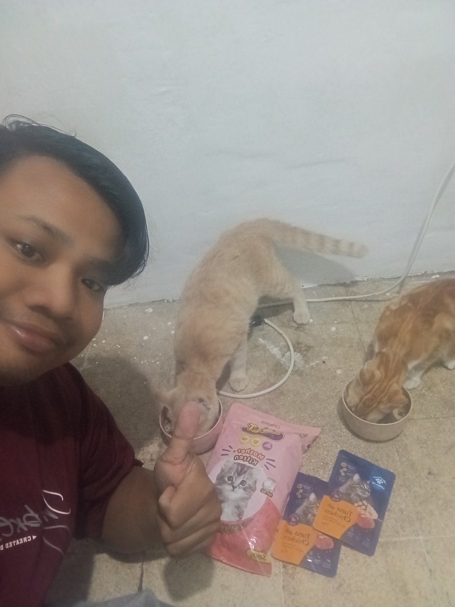 imasputra12's tweet photo. Alhamdulillah sudah beli jajan & food, susu total 30rb
Kucing2 lapar makan ๐ป
๐๐๐๐ป๐บ
#rezeki #bisu #tuli #kucing #makan https://t.co/4zVkfMtbz7