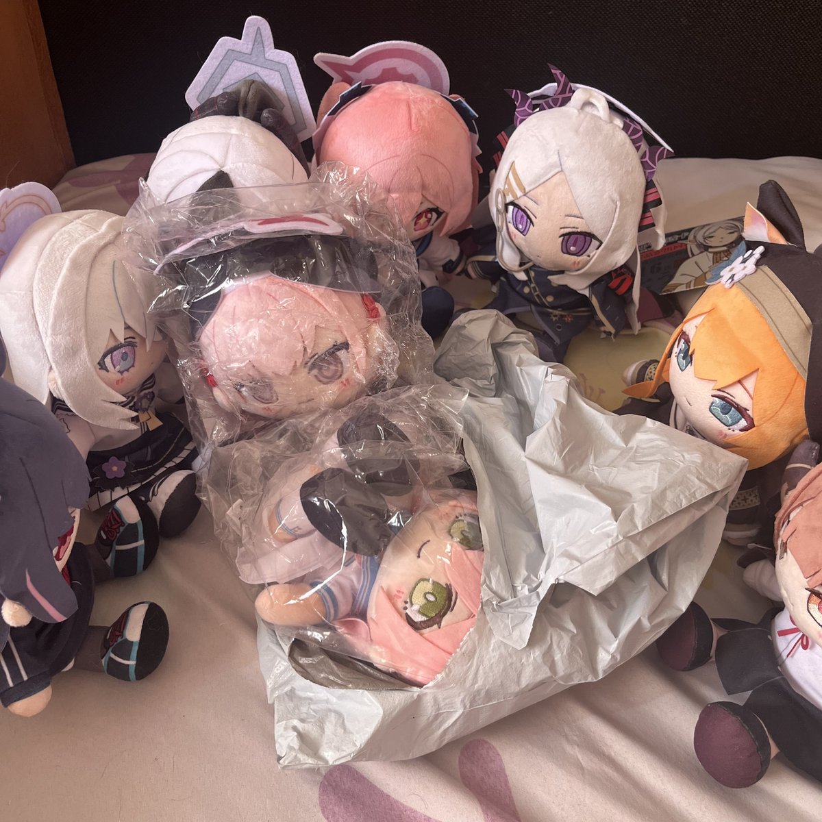 Anny4Y's tweet photo. Счастливый день! 
#ブルアカぬいぬい部 https://t.co/408aVeryKy