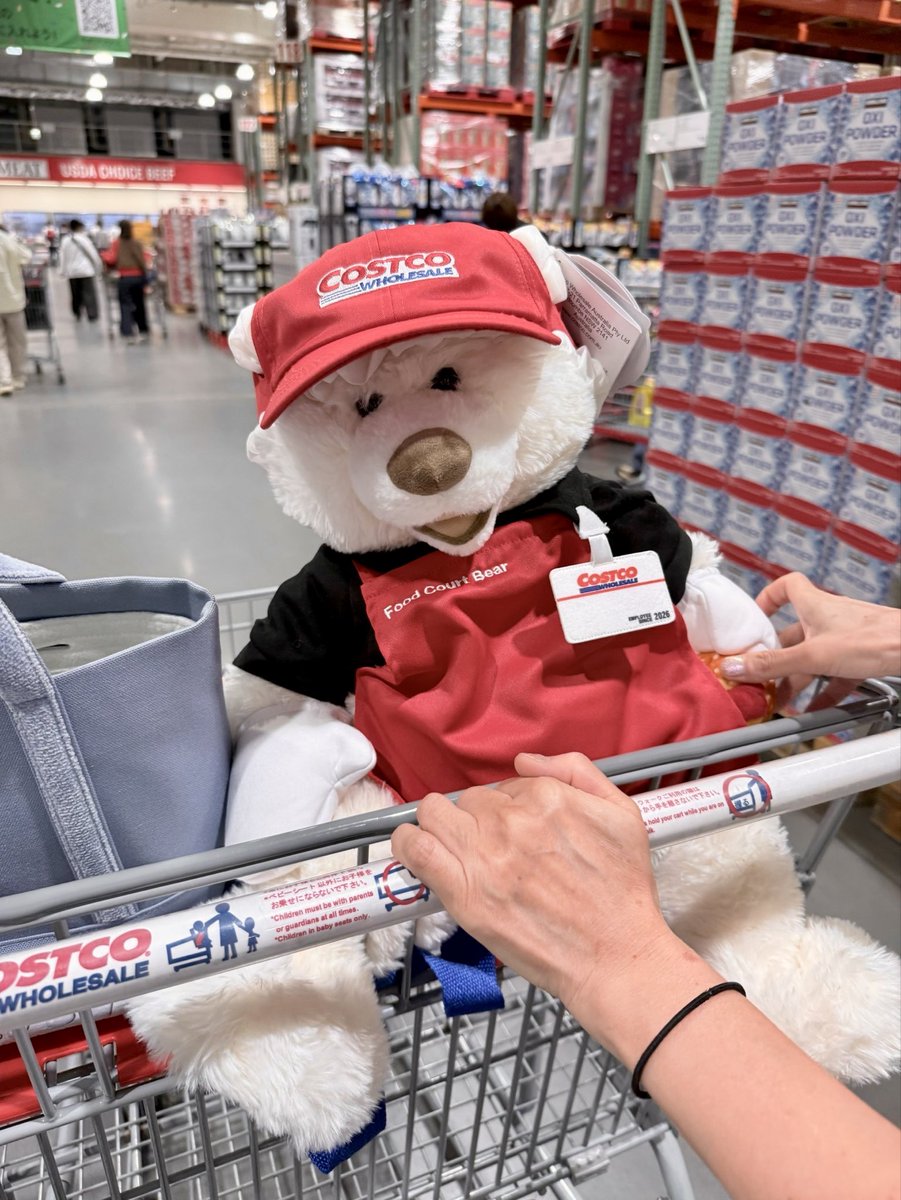 nebaru47's tweet photo. コストコで新しい家族を迎えた
#costco https://t.co/RislnT67EW