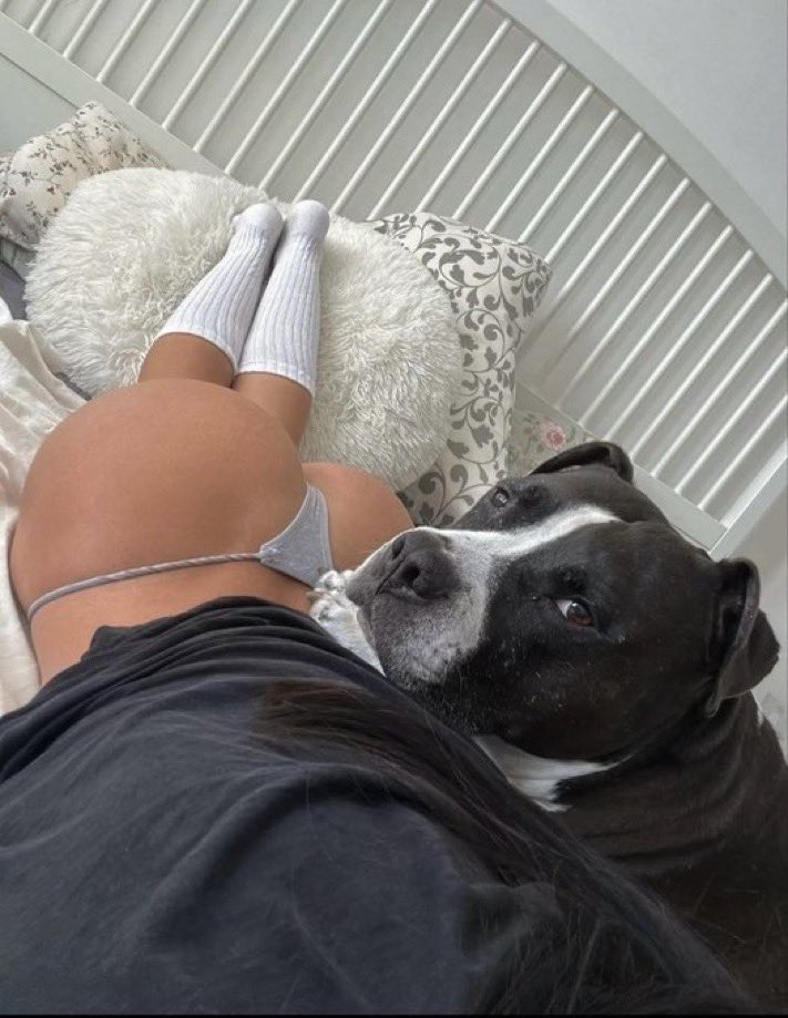 abner452's tweet photo. My cuddle partner

👉https://t.co/Vm38rfuEUe

#Dogs #DogLovers #DogLife #DogsOfX #DogsofTwitter #PuppyLove #CuteDogs #dogknotty #artofzoo #nsfwtwtًً https://t.co/zw4dpqIbB8