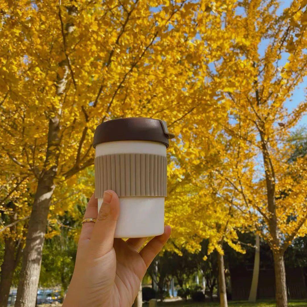 bloot536078's tweet photo. Just tried the new coffee blend with fruity notes—so smooth, vibrant, and my morning routine just got a fun, delicious upgrade! https://t.co/R2dk43Evu3