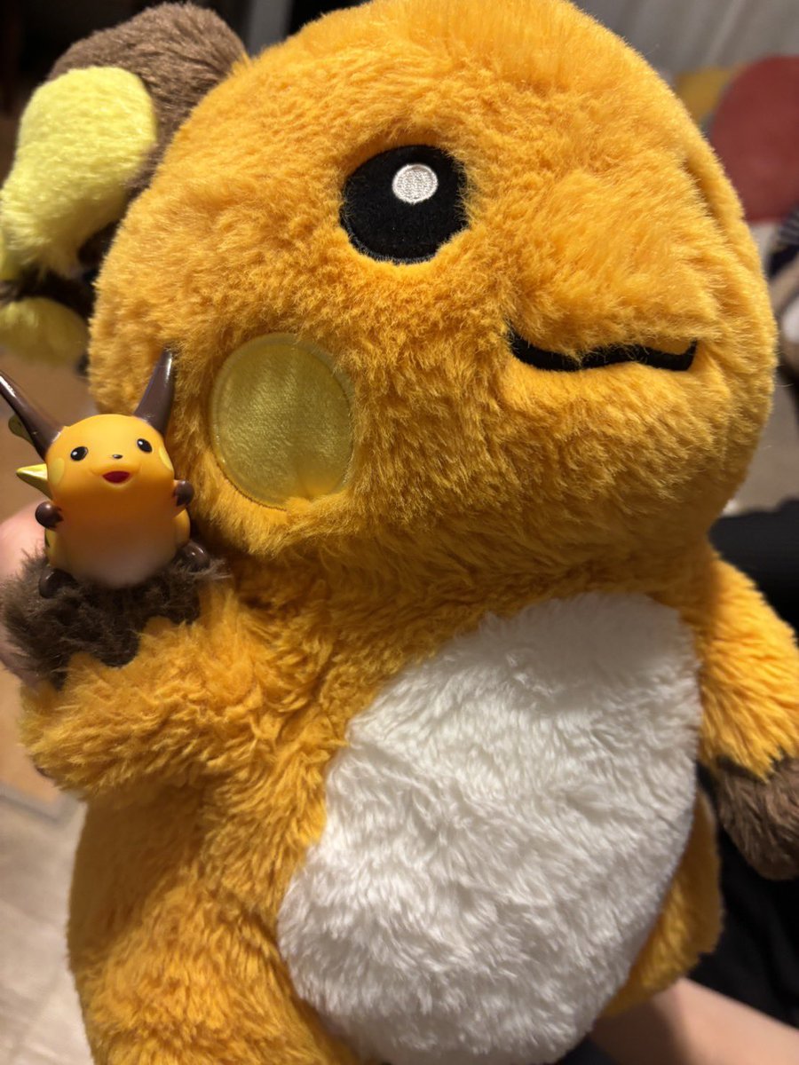 ugotoon99's tweet photo. こういう繁殖方法のライチュウ https://t.co/y8e9NT9z2p