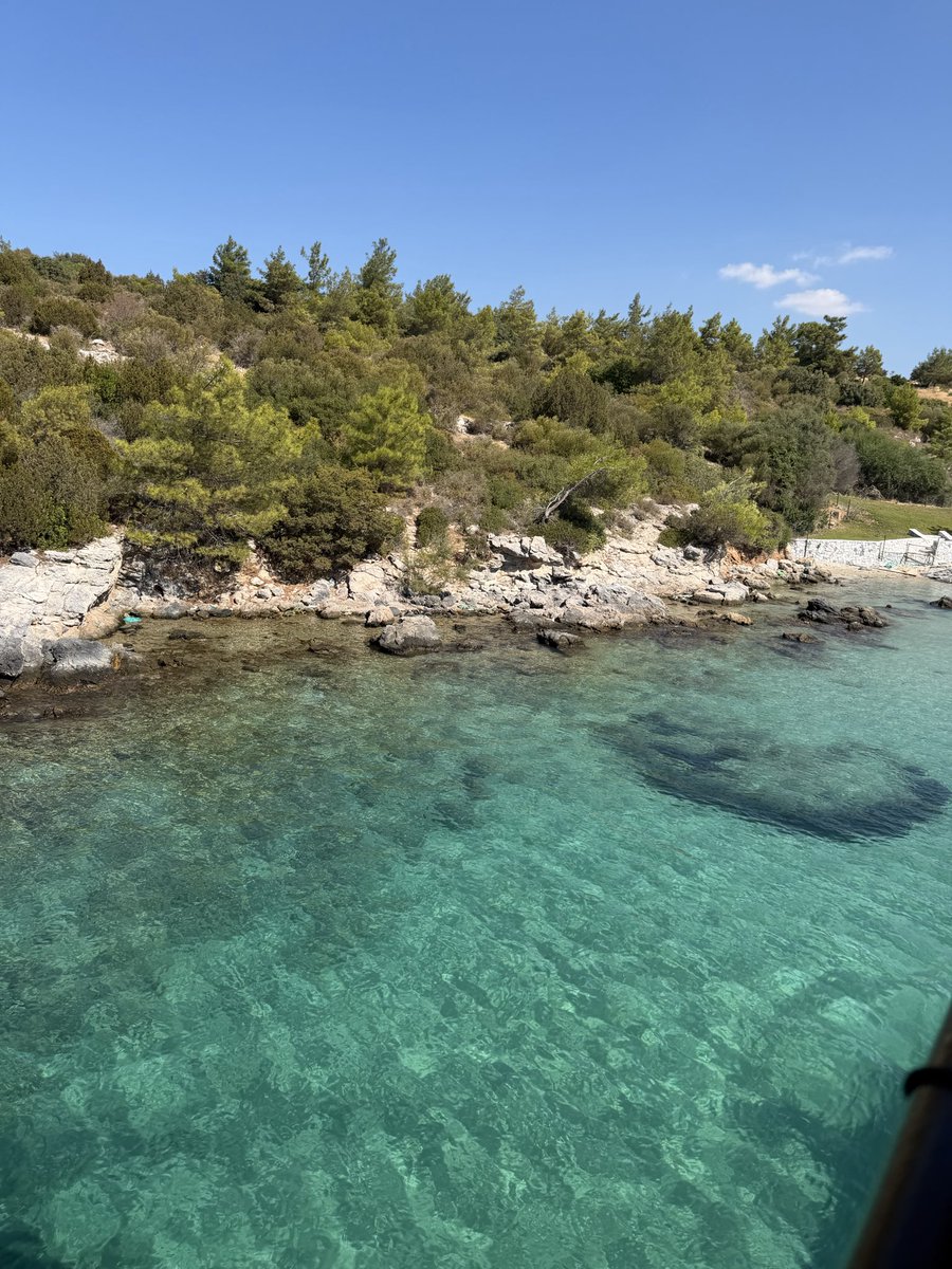Arsyy_0's tweet photo. Didim güzelsin 
#didim https://t.co/fQYl1VCcWW