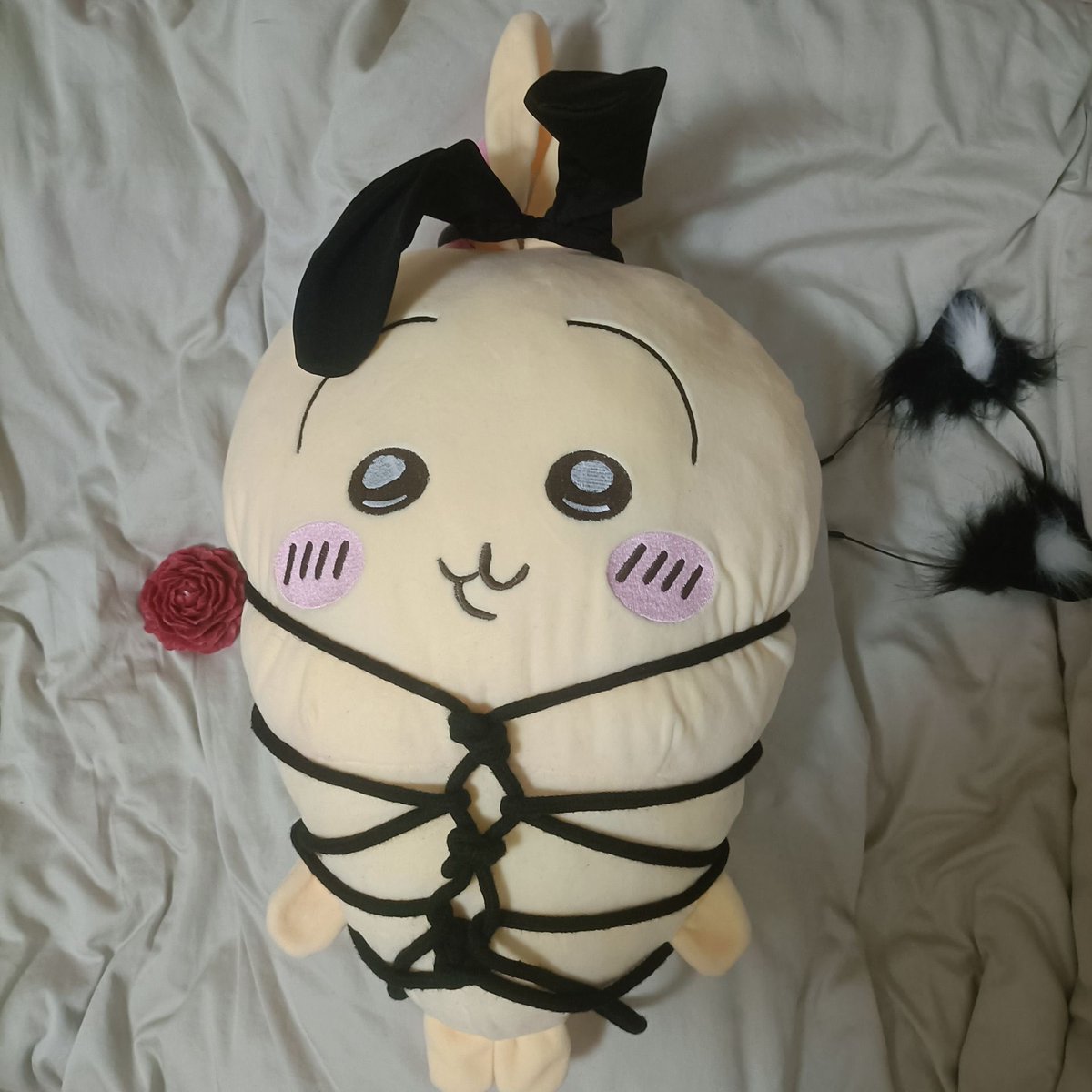 v2ahe's tweet photo. 突然好心疼自己，什么都做不到的年纪就什么都要靠自己，想被包养却发现这条路站满了人，自己甚至都没有入场券 https://t.co/dX5HFrWyPl