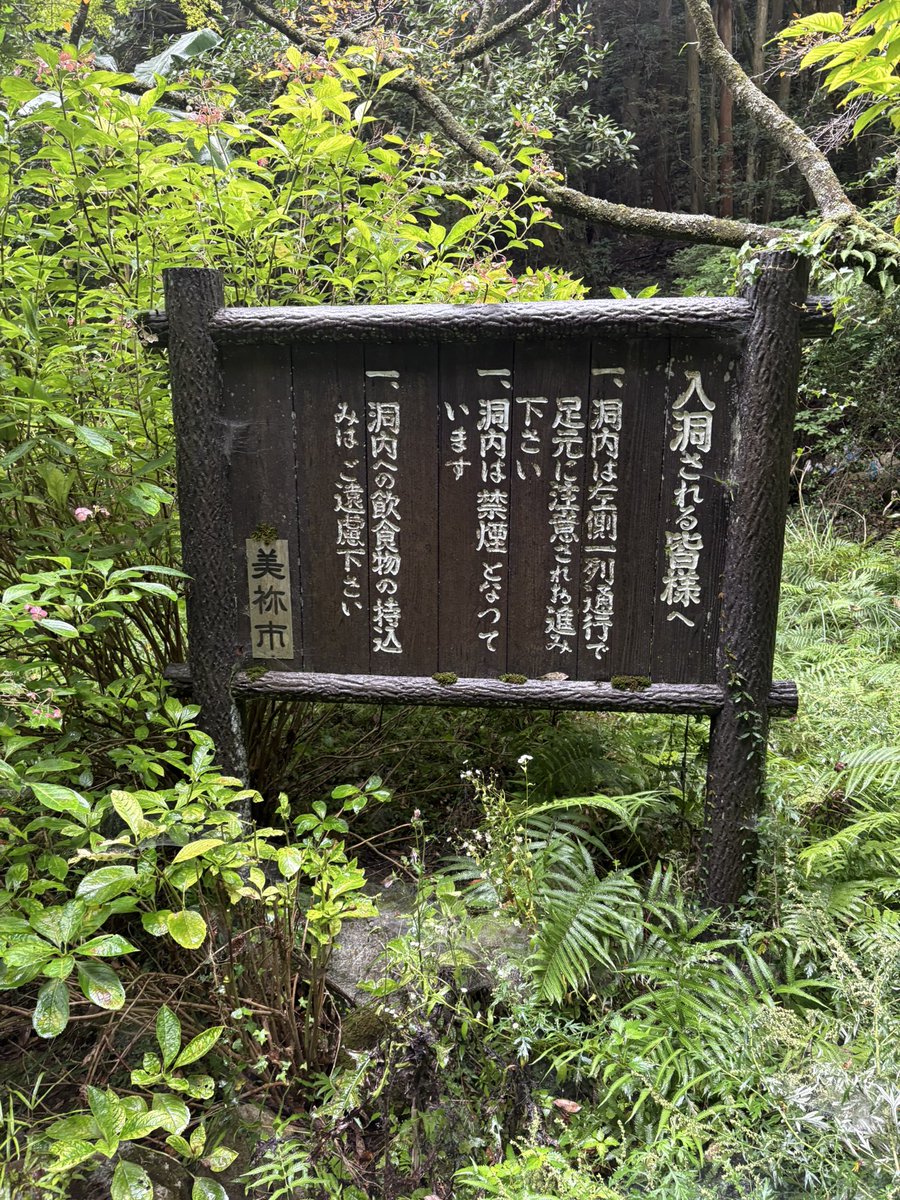 RIKU2SK's tweet photo. このシルバーウィークは
数年ぶりに山口の方に帰省

秋芳洞
あまりにもセンターオブジアース🌎

松下村塾のジオラマとかも見に行った！
子供の頃とは違った印象
あの頃は楽しさが分からなかった…これが大人になると言うことですね😁 https://t.co/rrhikl3lPK