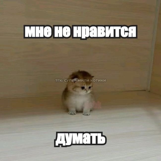 varriisaa's tweet photo. https://t.co/r6PjvQFNrS