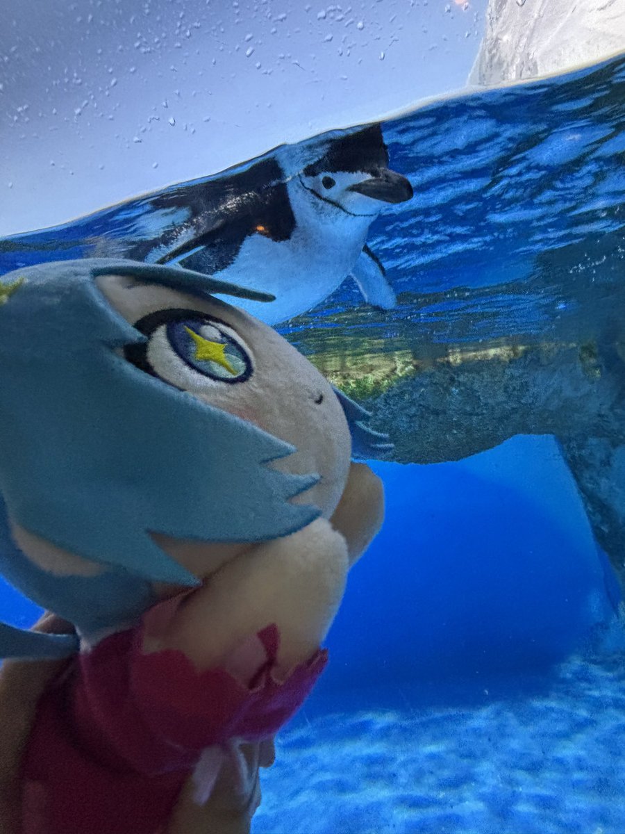 wasedapj_sekai's tweet photo. 9/2は「WPJ旅行」で八景島シーパラダイスに行きました‼️
館内にいる動物や生き物たちがとてもかわいらしく見ててとても癒されました。
特にペンギンはいろいろな種類がいて、種類によって動きが特徴的なところもとてもキュートでした☺️
#wpj
#wpjのセカイ https://t.co/ulKa1BJHKC