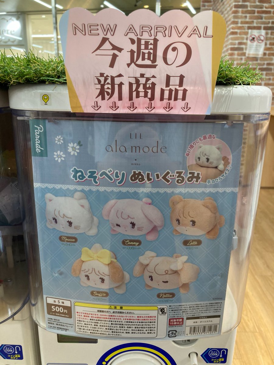gashacoco（本部）の入荷情報の写真