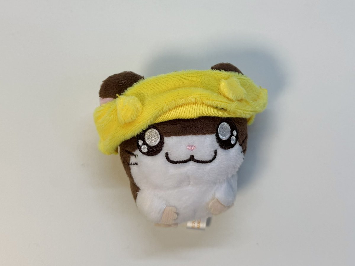 aixeow's tweet photo. 삐까부 https://t.co/FYxUIxUadB
