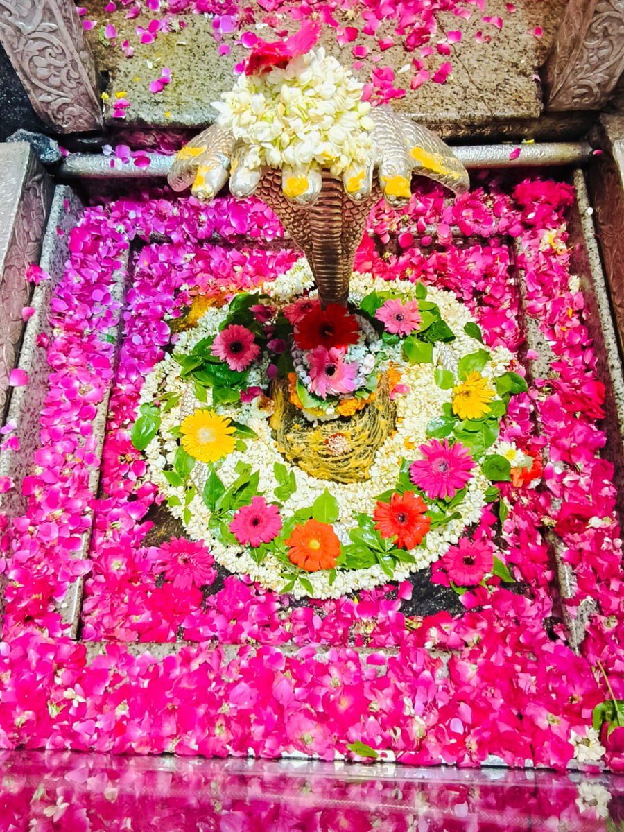 12Jyotirling's tweet photo. श्री ॐकारेश्वर ज्योतिर्लिंग मंगला आरती श्रृंगार | 18.09.2026

Shri Omkareshwar Jyotirlinga Mangala Aarti Shringar | 18.09.2026 https://t.co/tBwDln3v4V