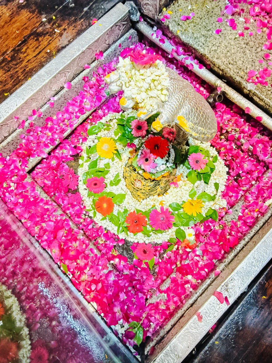 12Jyotirling's tweet photo. श्री ॐकारेश्वर ज्योतिर्लिंग मंगला आरती श्रृंगार | 18.09.2026

Shri Omkareshwar Jyotirlinga Mangala Aarti Shringar | 18.09.2026 https://t.co/tBwDln3v4V