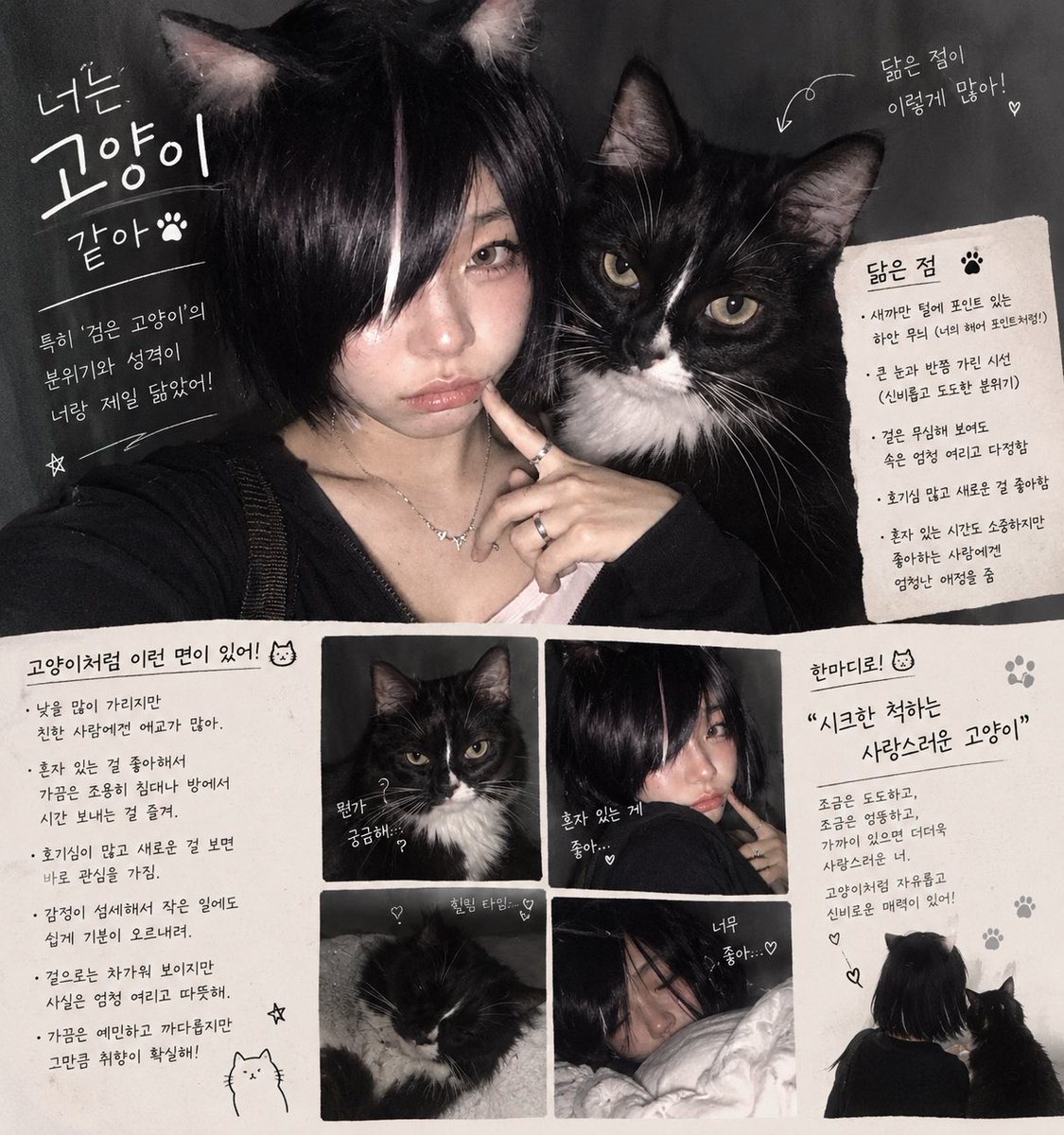 pooding1114's tweet photo. 유행하는거 해봤듬 다 고양이귀끼고있어서 이리 나온 것 같기도 https://t.co/7b2k3fRaBX