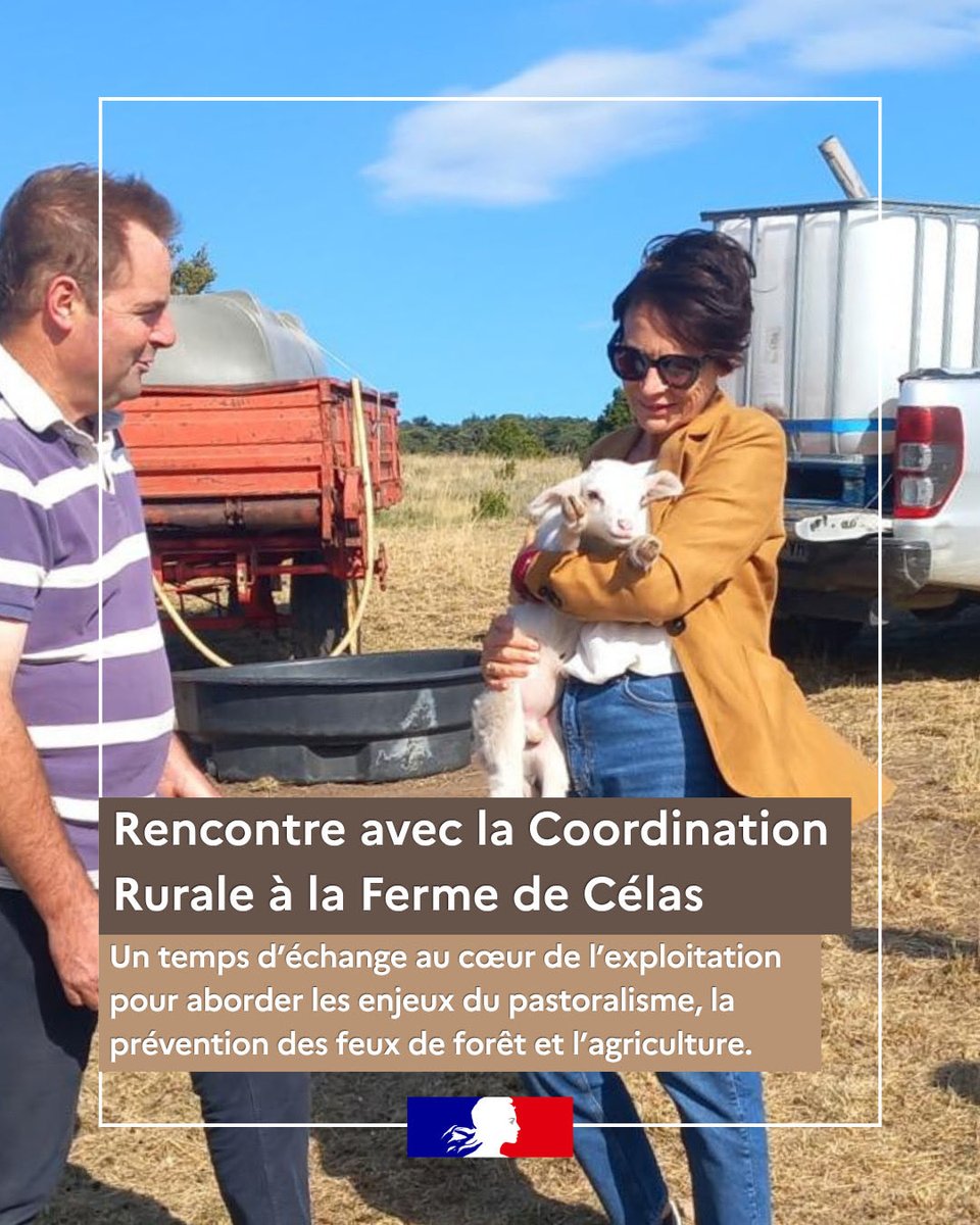 Prefet26's tweet photo. 🌾 Échanges avec les agriculteurs au Pègue
À la #ferme de Célas, au #Pègue, la préfète de la Drôme a échangé avec les agriculteurs, à l’invitation de la #Coordination Rurale 26, autour des enjeux de l’agriculture et du pastoralisme dans le département.
Cette rencontre a également permis de découvrir une exploitation familiale engagée depuis 35 ans en agriculture biologique, associant culture de l’abricot et élevage traditionnel d’agneaux.
Les discussions ont notamment porté sur la prédation, la prévention du risque #incendie, le sylvopastoralisme, la remise en #culture des friches, la diversification des #cultures et la loi d’urgence #agricole.
@coordinationrur