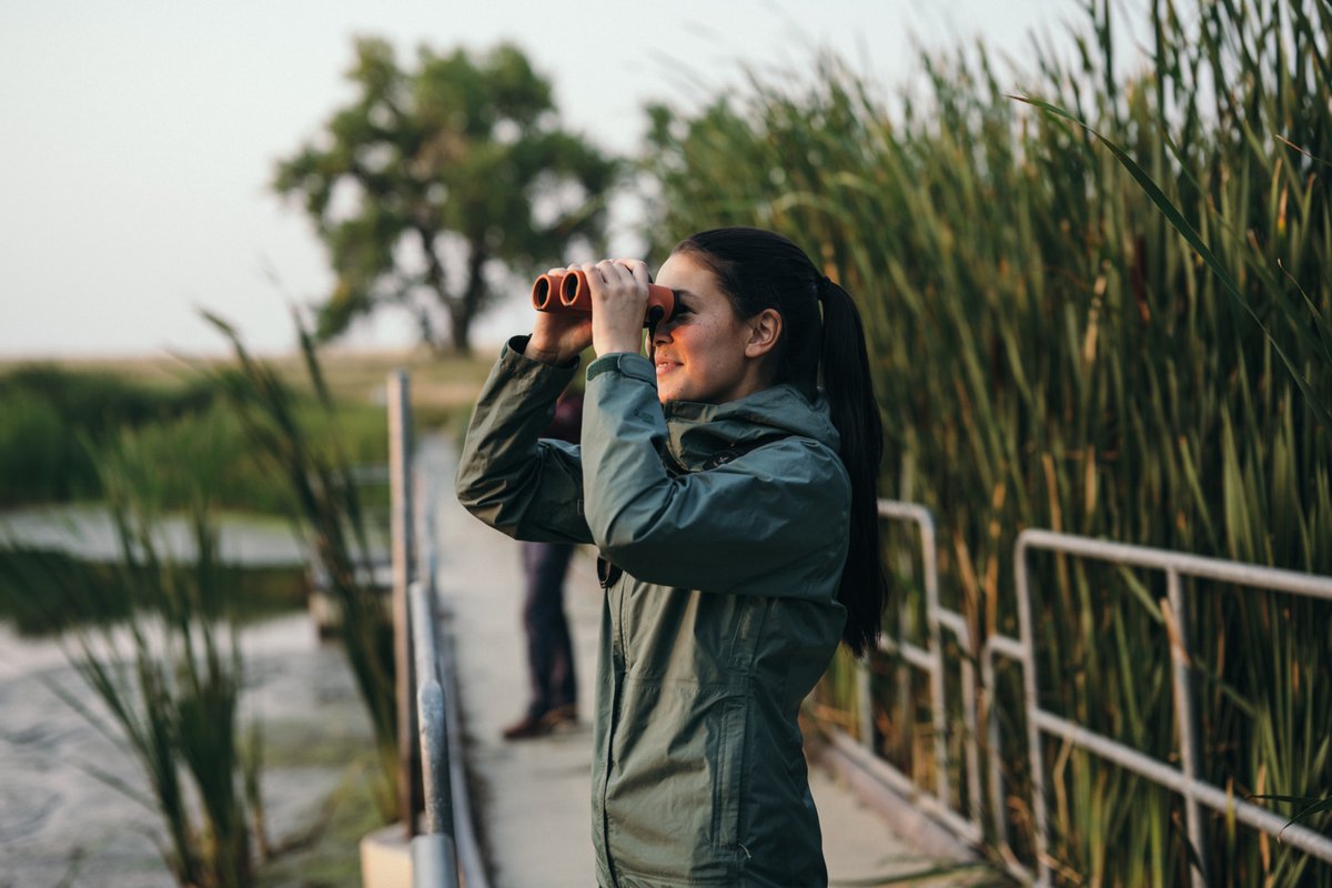 infocusOptics's tweet photo. Shop @SwarovskiOptik  top of the range NL Pure

Swarovski NL Pure series represents the pinnacle of premium roof-prism binoculars, defined by an unprecedented field of view and an ergonomic design.

🔗shop the full range using the link in bio

📸 @SwarovskiOptik https://t.co/Pfb4o53THk