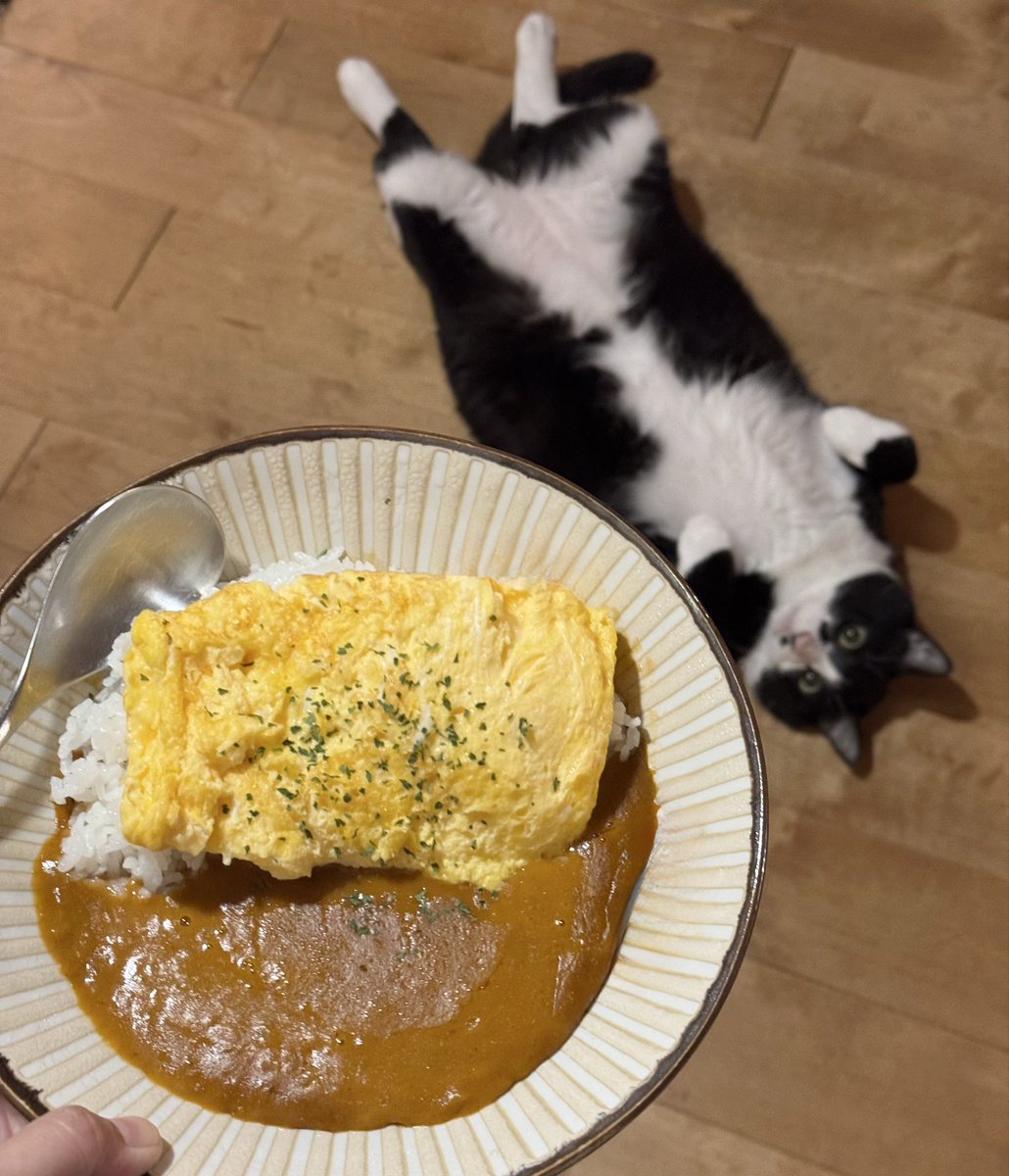 doppio203's tweet photo. 今日の晩ごはん
#猫のいる暮らし𓏲𓎨 https://t.co/Bgf0G0dCyF