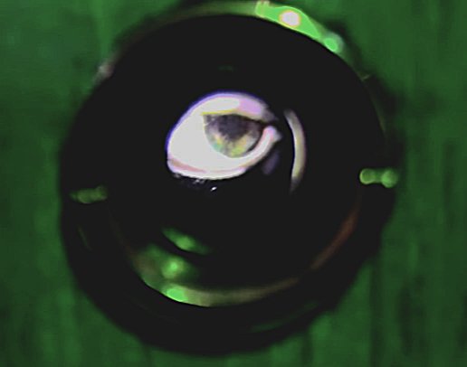 RandomJasper666's tweet photo. I tried to darken the pics and add some contrast to check the details and color, but the saturation added at least one false color

From what I see pale has all different sized and shaped teeth

And green eyes with brownish center like protag https://t.co/KJXHqldRoe