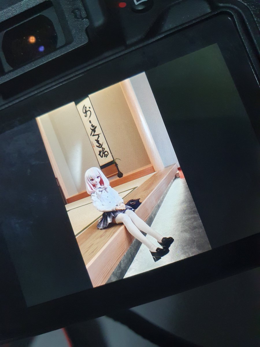 HizuiM's tweet photo. 도쿄 싸돌아다니는 중,,

공항 물품검색대에서 보안 직원이 엑스레이 모니터보더니 와서는 거기 안에 뭐가 있냐고 묻더니 지퍼열어 보여줬는데 직원분이
"와 이쁘다, 이거 관절 구브려지는 그거 아니예요? 이거 많이 비싼걸로 아는데"
적극적으로 호응을 해주신,,ㅋㅋ https://t.co/1sSa2DqdM4