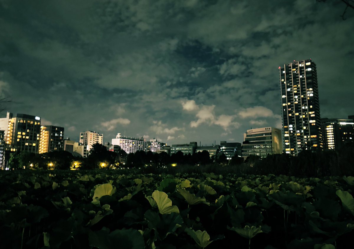 aki_siemir's tweet photo. 夜空ごと抱きしめたい https://t.co/ydeShS9f5O
