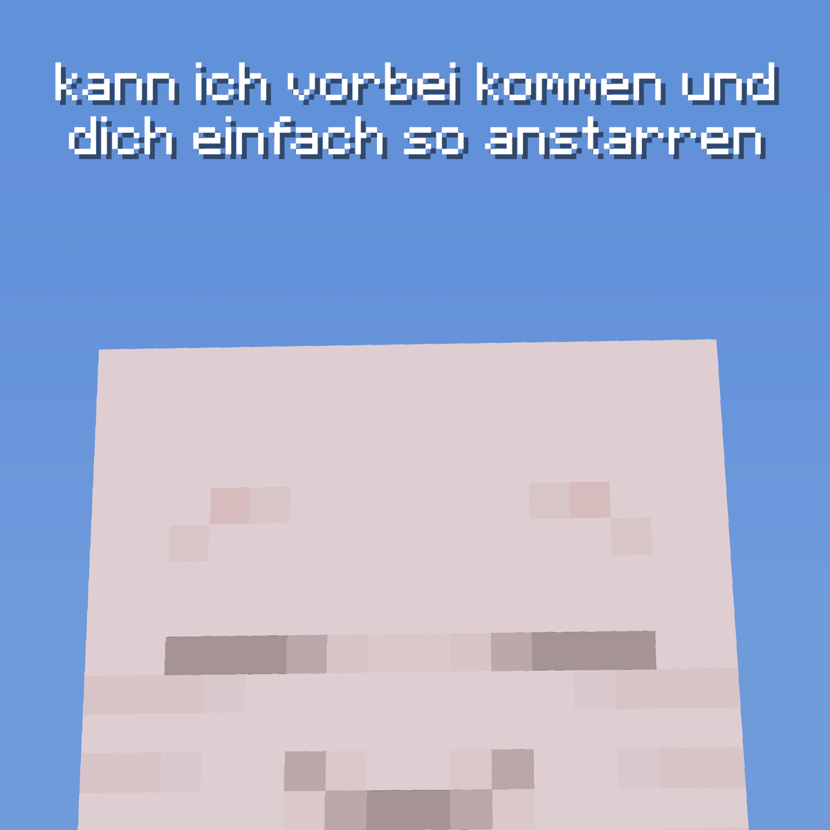 MinecraftDACH's tweet photo. https://t.co/Ss5YNby1nh