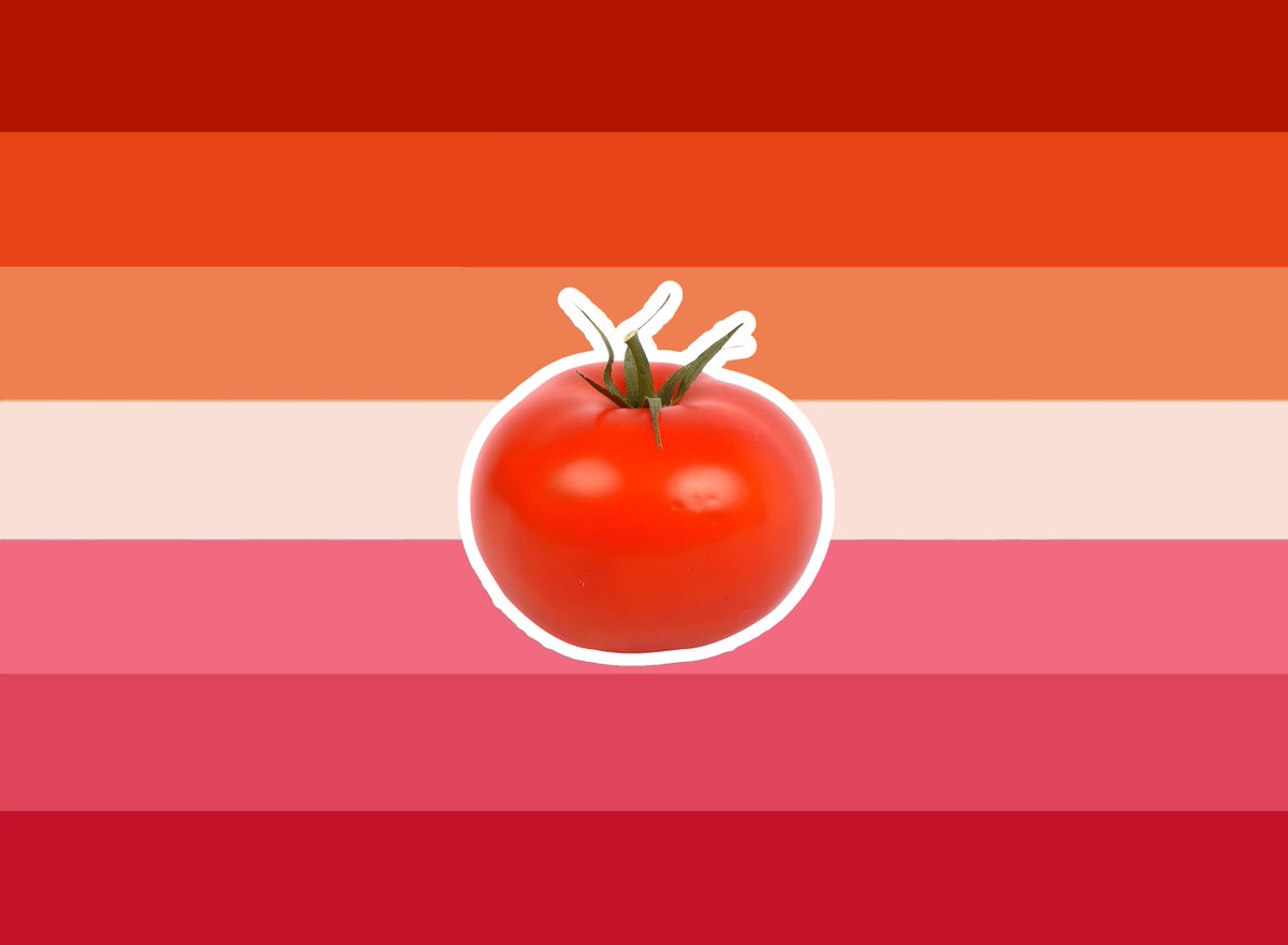 mossyjunebug's tweet photo. lesbian tomato flag for when you are lesbian and like tomatoes! https://t.co/zVF5zyNLiJ